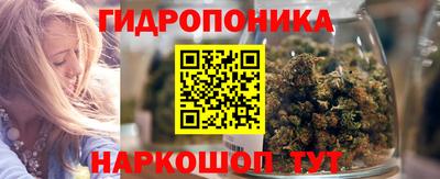 стаф Краснодар