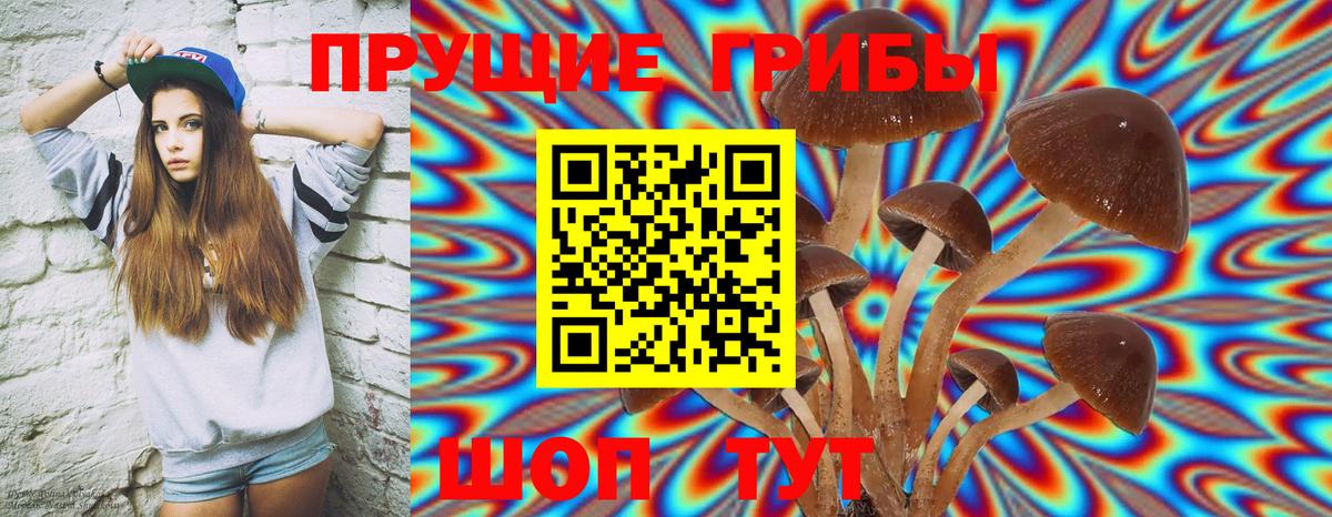 Красноярск  Псилоцибиновые грибы MAGIC MUSHROOMS  Псилоцибиновые грибы Cubensis  Вход с VPN 